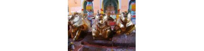 பரலி - பீஹார்